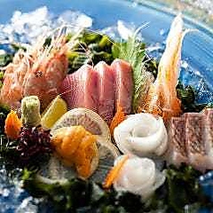 旬の魚を贅沢に使用したお造り盛り合わせの魅力