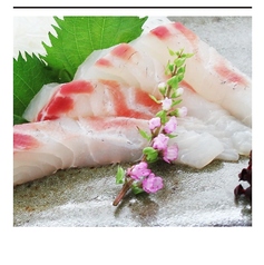 海鮮居酒屋 樹樹の特集写真