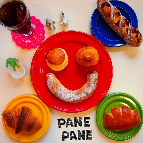 Panepane image