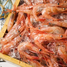 うおっと 魚人 函館五稜郭店のコース写真