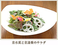 料理メニュー写真 京水菜と京湯葉のサラダ