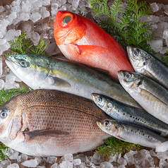 【完全個室】朝採れ鮮魚・九州焼き鳥・もつ鍋・しゃぶしゃぶ はるのひ 春日部店の写真2