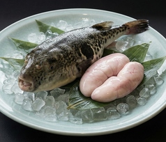 すっぽん すし ふぐ はも 明石倶楽部 箕面店のコース写真