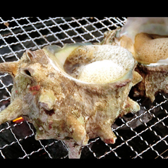 活、サザエのつぼ焼き