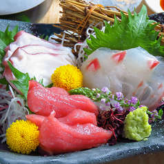 鮮魚の刺し盛り　小とら