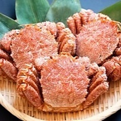 上越やすだ 恵比寿店のコース写真