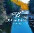 Blue Bird dining ブルーバードダイニングのロゴ