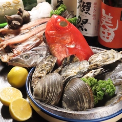 地鶏料理と旬魚 居酒屋 楽いちの写真