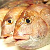 他にも素材にこだわり。魚、ジビエ(鹿)、国産小麦粉、水