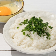 menu photo