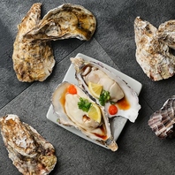 贅沢な味わい！極上の生牡蠣を堪能