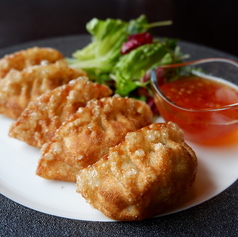 揚げ餃子(5個)