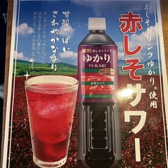 浜焼き居酒屋 さかな食堂のおすすめドリンク1