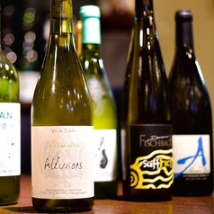 fill フィル特集写真1