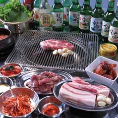 韓国料理焼肉 カルメギ本店 野々市のコース写真