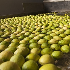 シチリア レモン サワー