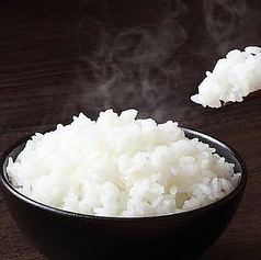白ごはん