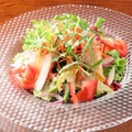 料理メニュー写真&nbsp;彩り野菜のサラダ