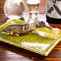 【四季の味わい】季節の味を楽しむ新鮮魚料理！