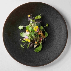 フォーティースリー forty three 岐阜シティタワーのコース写真