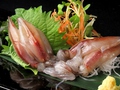 料理メニュー写真 富山産　生ホタルイカの刺身