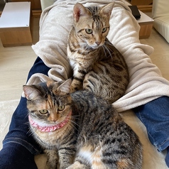 120分おやつセット