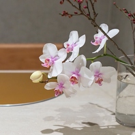 旬の素材を贅沢に・・・