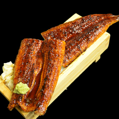 うなぎの蒲焼き丼 