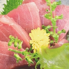 鮪 中トロ 1人前