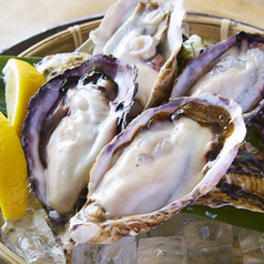 【生牡蠣食べ放題980円】牡蠣ノ上にも三年。　新潟駅前店のコース写真