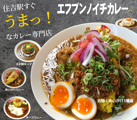 スパイス・欧風・キーマ・あいがけ＆トッピング無限大の絶品カレー専門店