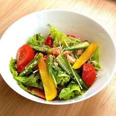 夏 野菜とツナのサラダ