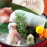 さかな酒場 魚星 兵庫南口店のおすすめポイント2