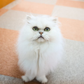 料理メニュー写真&nbsp;延長15分