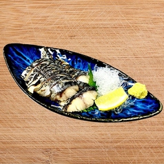 炙りしめ鯖