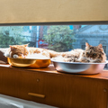 料理メニュー写真&nbsp;3時間パック