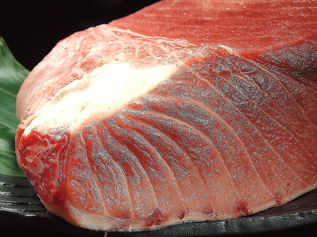 ニジヒコ自慢の本鮪です！！