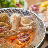 地どり焼 でんえん DEN-EN のおすすめ料理3