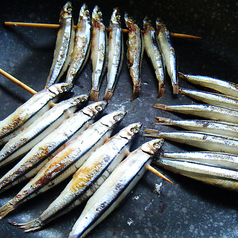 きびなご串１本