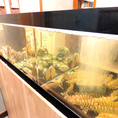 店内には目をひく大きな水槽！旬の鮮魚や活貝を使用した自慢の料理をご堪能ください◎