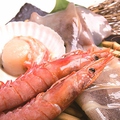 料理メニュー写真 イカ/赤エビの塩焼き/海鮮3種盛り（税込）