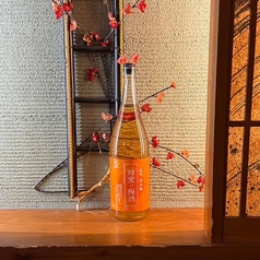 蜂蜜の梅酒