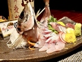 料理メニュー写真 関アジの姿造り『県産ブランド魚』