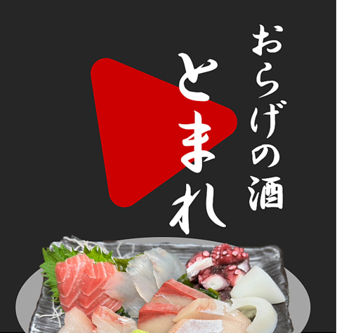 旬の新鮮な食材を使用した日替わり料理を楽しむ！大人の癒し空間で今宵も一献。