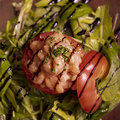 料理メニュー写真 ベルギー名物・トマトクルヴェット～トマトに詰めた小海老のサラダ～