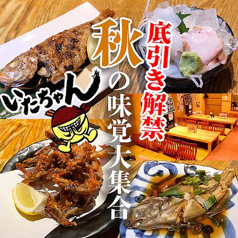 居酒屋いたちゃんです。★旨い酒と肴をリーズナブルにご提供！真心込めたおもてなし♪