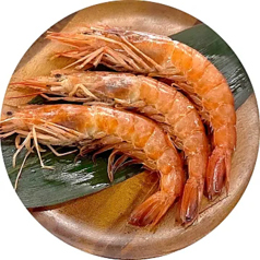 海老 (1尾)