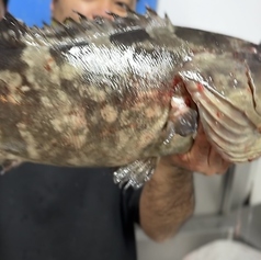 玄海 かわはぎ亭の特集写真