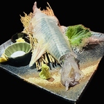 当店名物！活イカ姿造りあります。※予約要（期間限定・ 仲春から晩春）