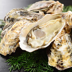 魚菜小町のおすすめ料理2